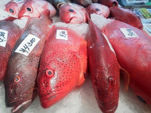 沖縄の魚市場に並ぶ高級魚アカジンミーバイ