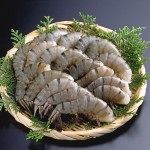 ブラックタイガー冷凍海老大きさ